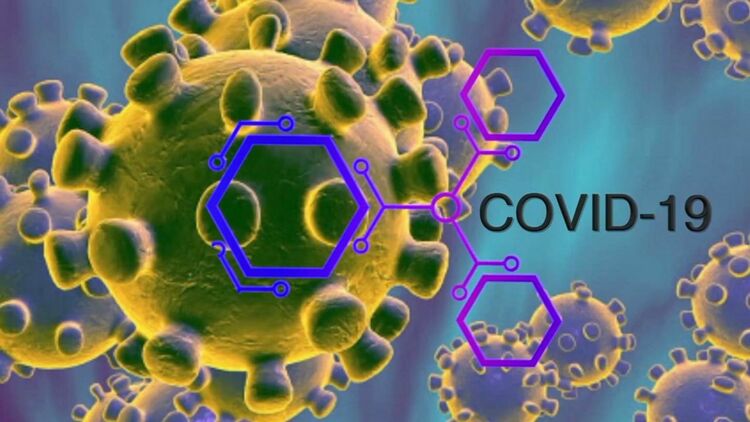 0304 n13 covid 19 coronavirus graphic generic file